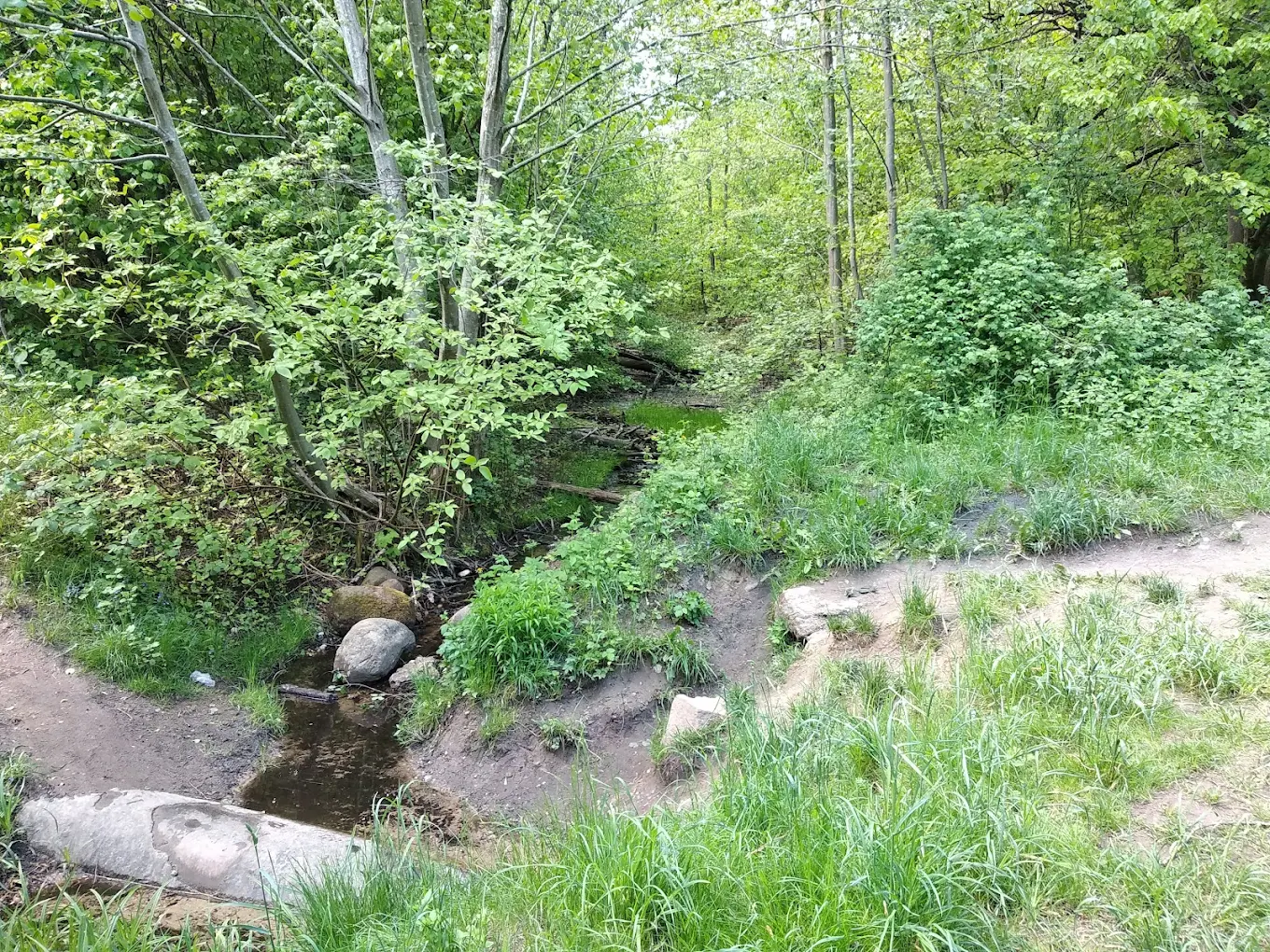 Cedrono kraštovaizdis